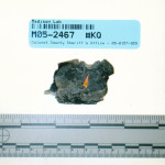 exhibit-430-cranial-bone-fragments-inner-defect